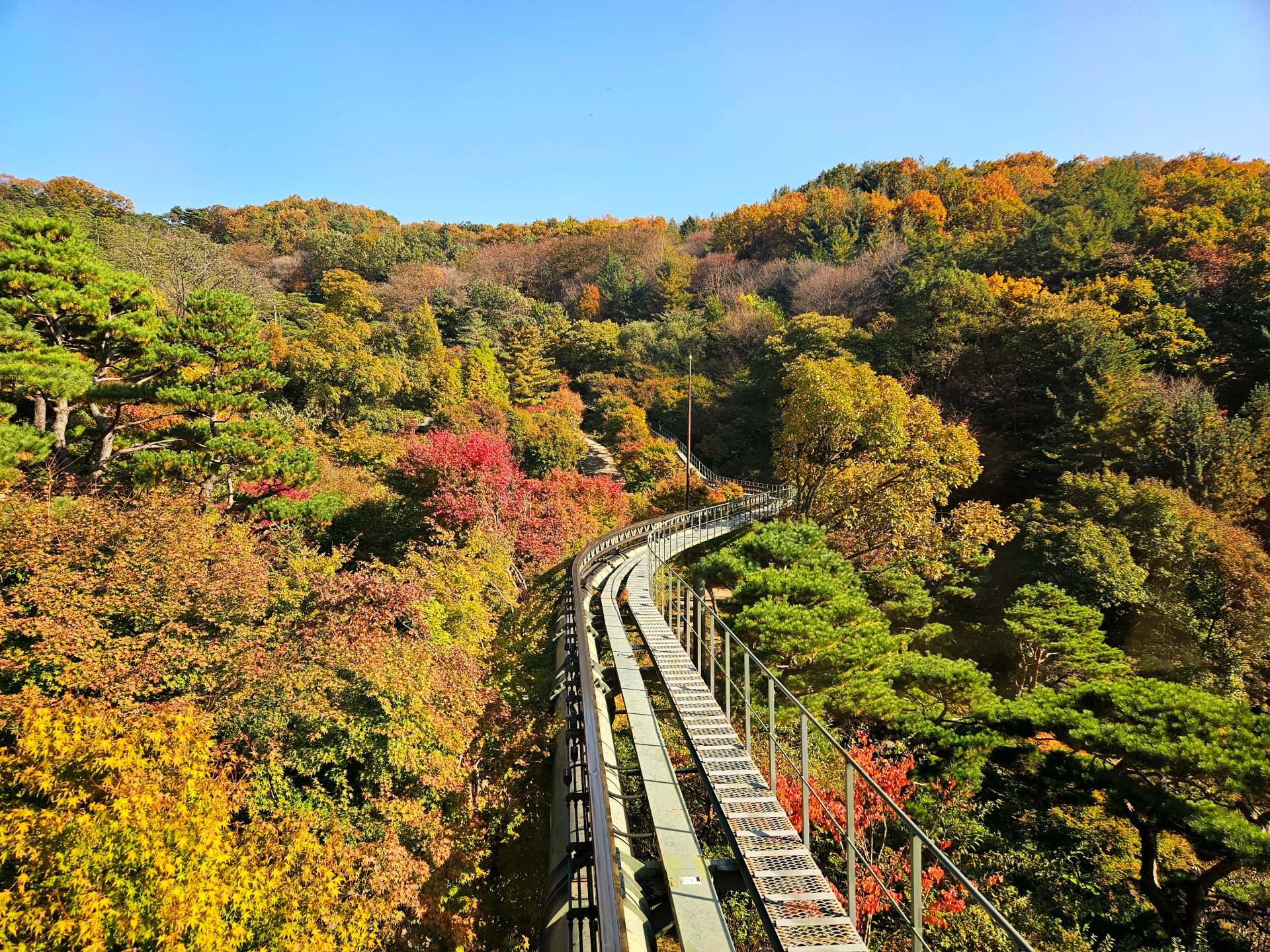 국내여행 화담숲