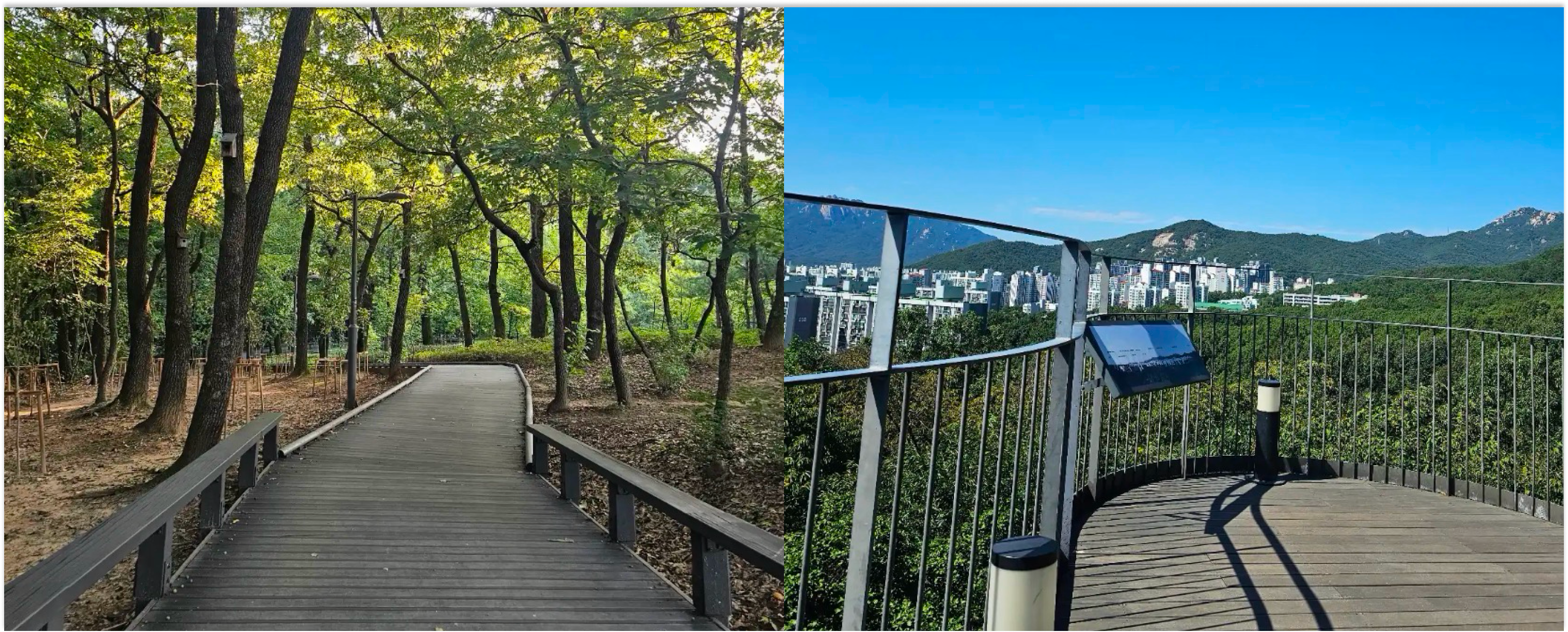 🍁 휠체어로 떠나는 서울 근교 단풍놀이 4곳