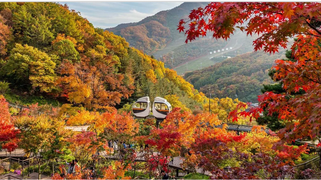 🍁 휠체어로 떠나는 서울 근교 단풍놀이 4곳